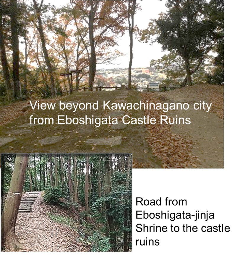 Eboshigata Castle Ruins